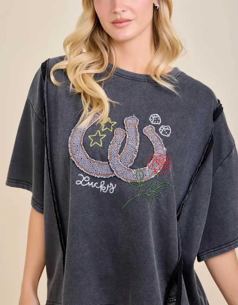Lainey Lucky Horseshoe Embroidered Sweatshirt