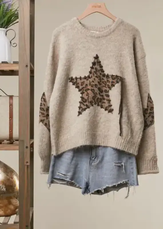 Bethany Leopard Bold Star Detail Knit Sweater