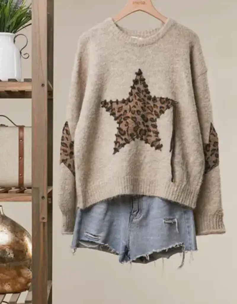 Bethany Leopard Bold Star Detail Knit Sweater