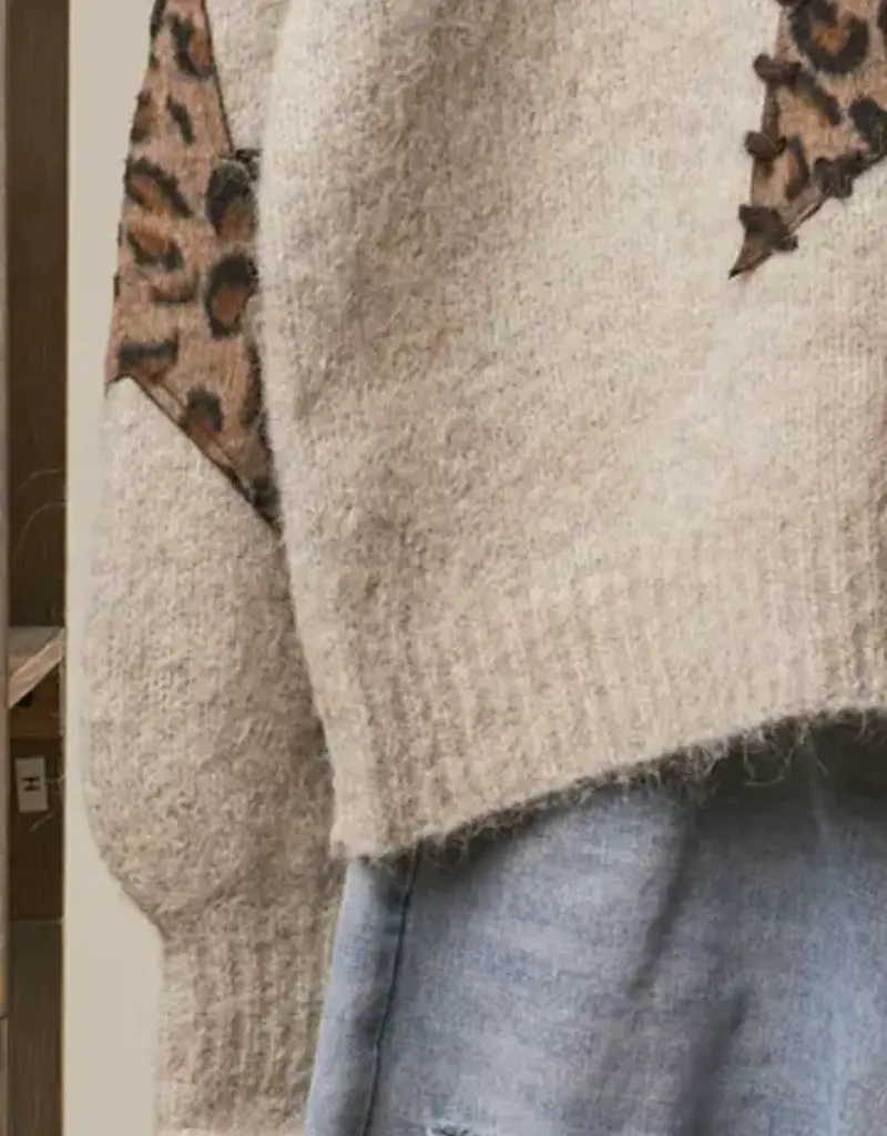 Bethany Leopard Bold Star Detail Knit Sweater