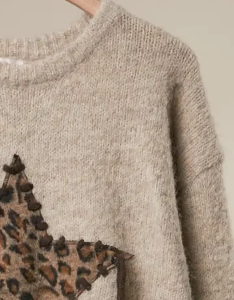 Bethany Leopard Bold Star Detail Knit Sweater