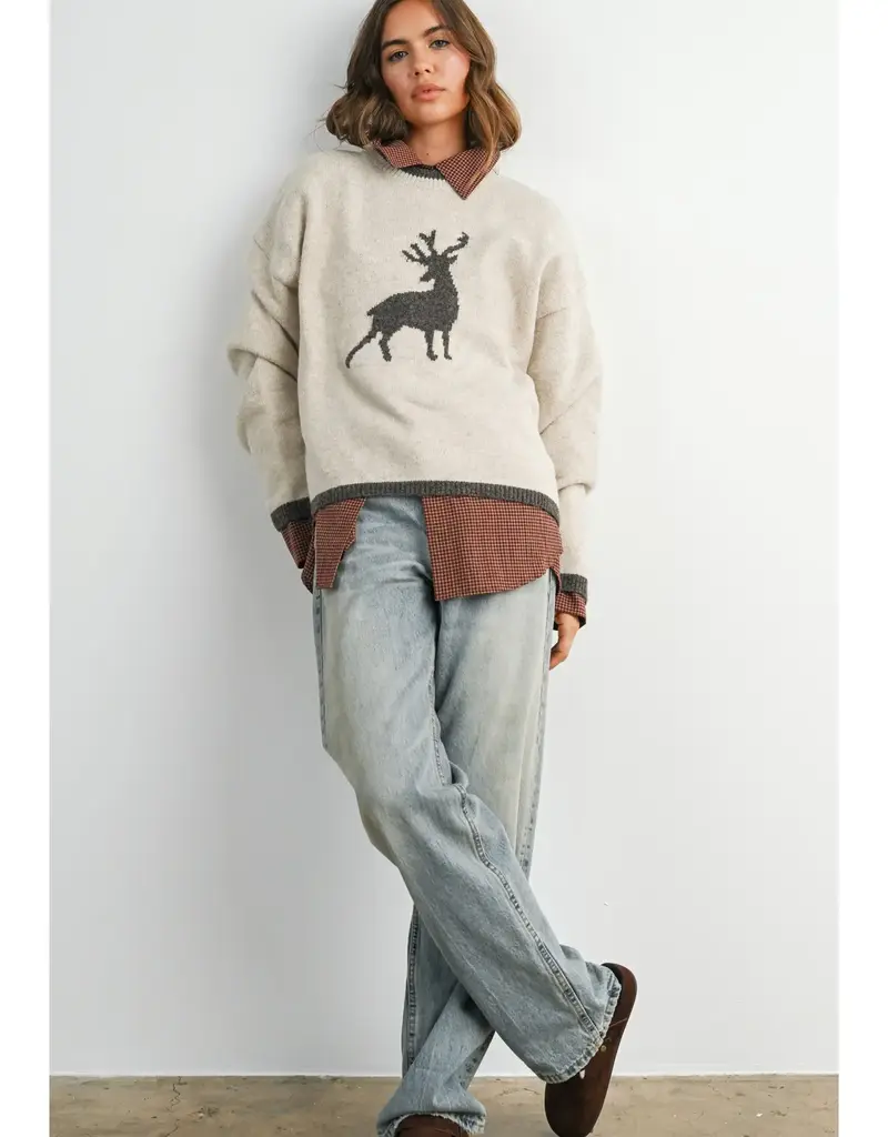 Reindeer Graphic Knit Sweater