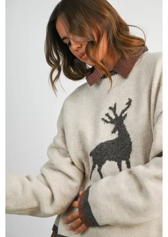 Reindeer Graphic Knit Sweater