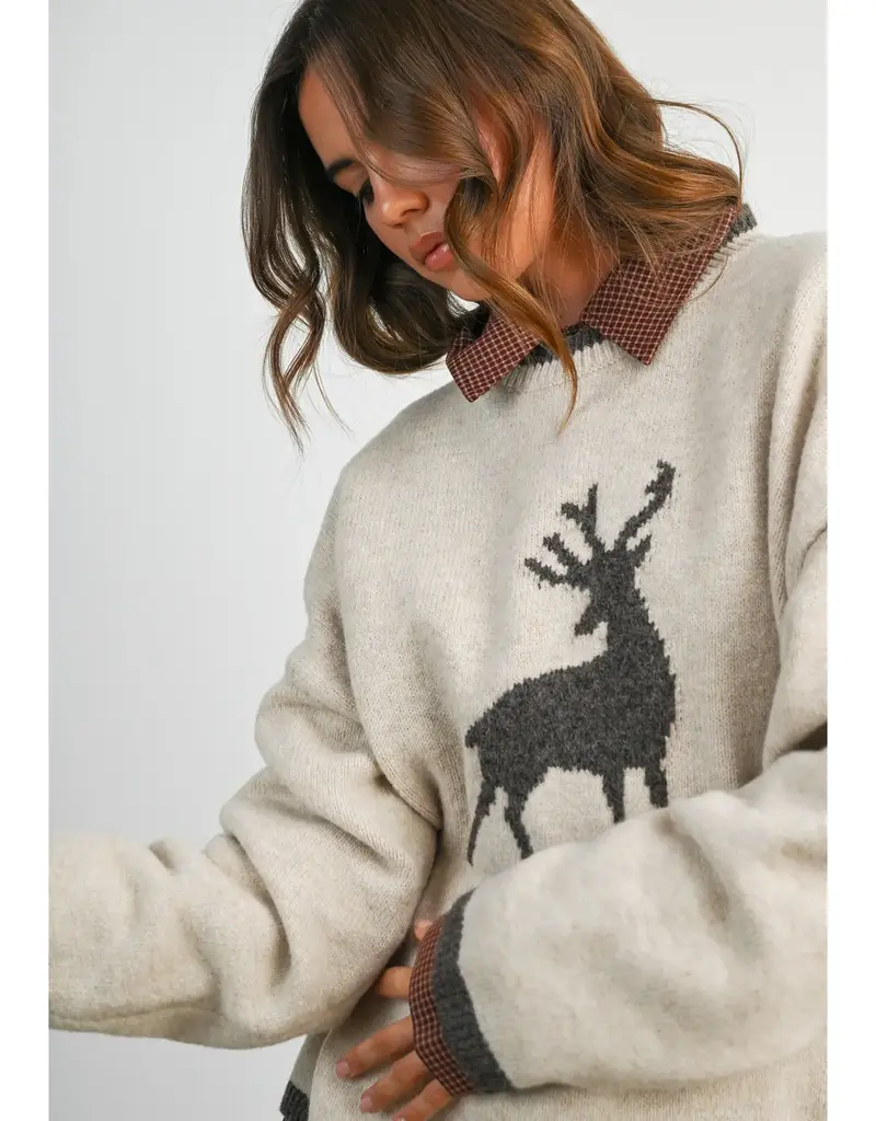 Reindeer Graphic Knit Sweater