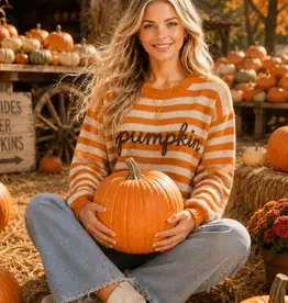 Pumpkin Script Striped Knit Sweater