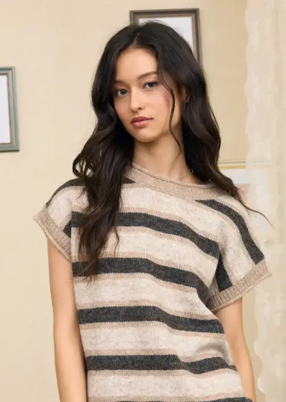Marled Stripe Short Sleeve Raw Edge Knit Sweater