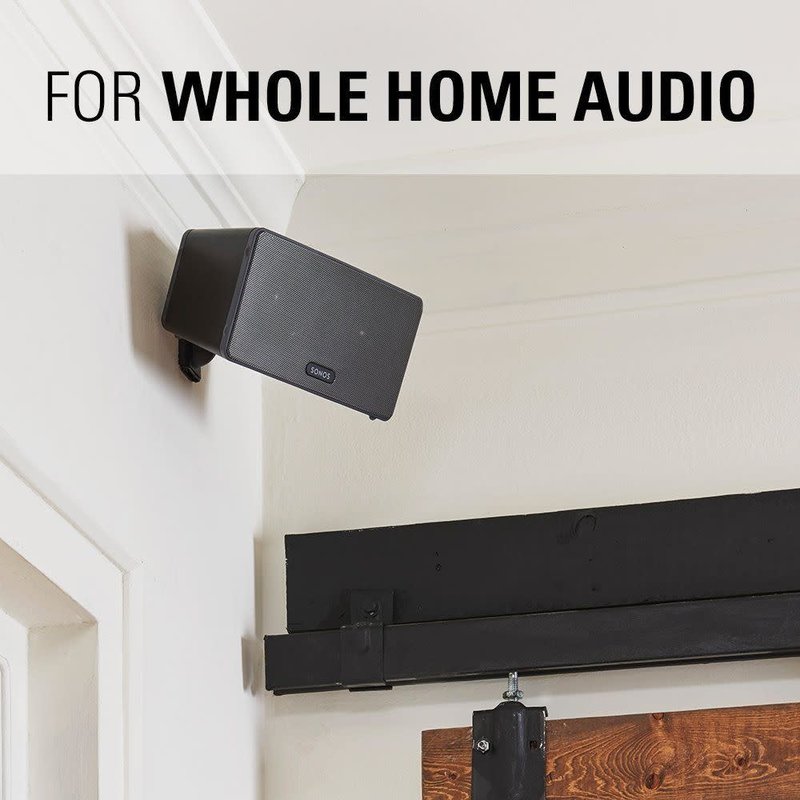 Tilt and Swivel Wall Mount for wireless speakers (ea.)