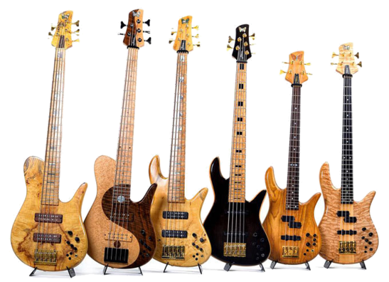 Bass Guitars