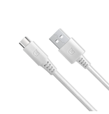 Caseco Caseco Rugged Braided 2M USB C Cable