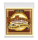 Ernie Ball Earthwood 80/20 Bronze Acoustic Guitar Strings