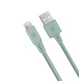 Caseco Rugged Braided 2M MFI Lightning Cable