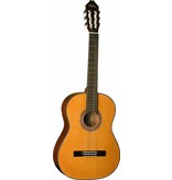 Washburn Classical Guitar Select Spruce Top Mahogany s/b