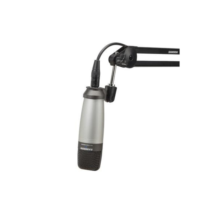 Large Diaphragm Condenser Mic