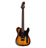 ESP  TE Series TE-200 Tele Style Electric Guitar