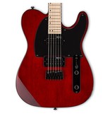 ESP  TE Series TE-200 Tele Style Electric Guitar