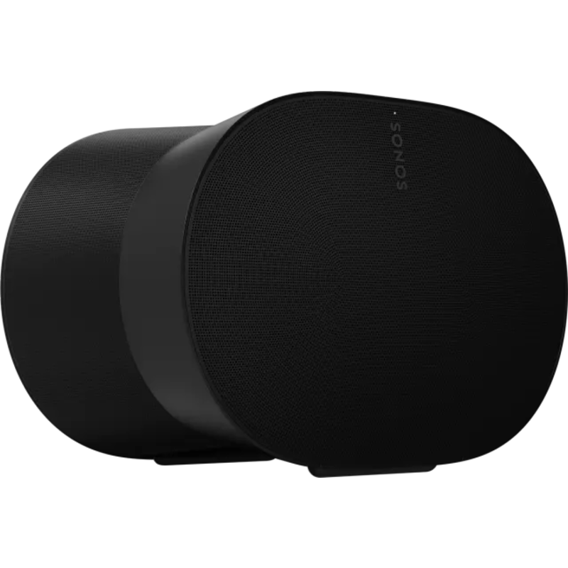 Era 300 WiFi & Bluetooth Premium Smart Speaker