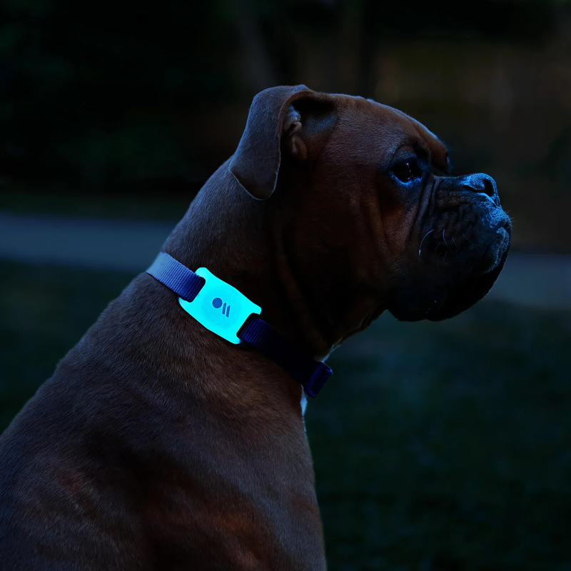 Case-Mate AirTag Dog/Cat Collar Attachment - Glow in the Dark