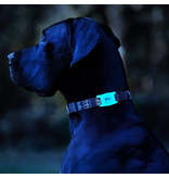 Case-Mate Case-Mate AirTag Dog/Cat Collar Attachment - Glow in the Dark