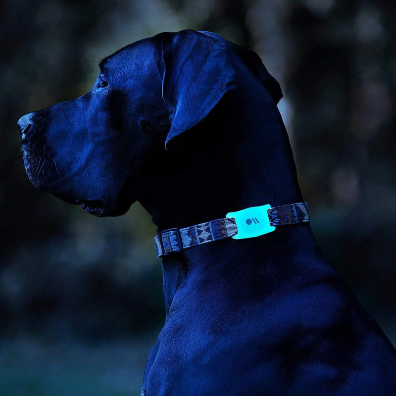 Case-Mate AirTag Dog/Cat Collar Attachment - Glow in the Dark