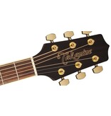 Takamine Dreadnought 51 Acoustic Guitar, Natural