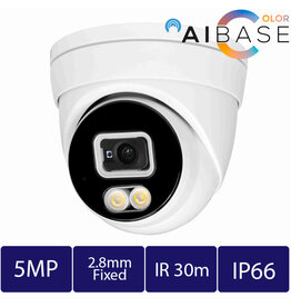AIBase Color 5MP AI Full Color Fixed Lens IP Turret POE Camera