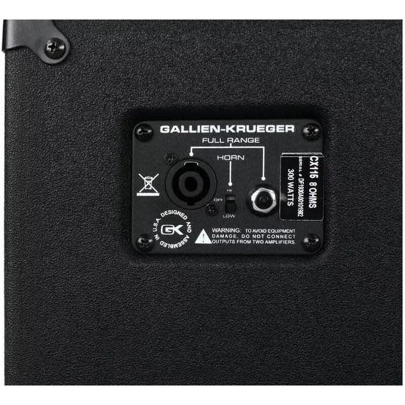 G&K 300w 15-inch Bass Cabinet