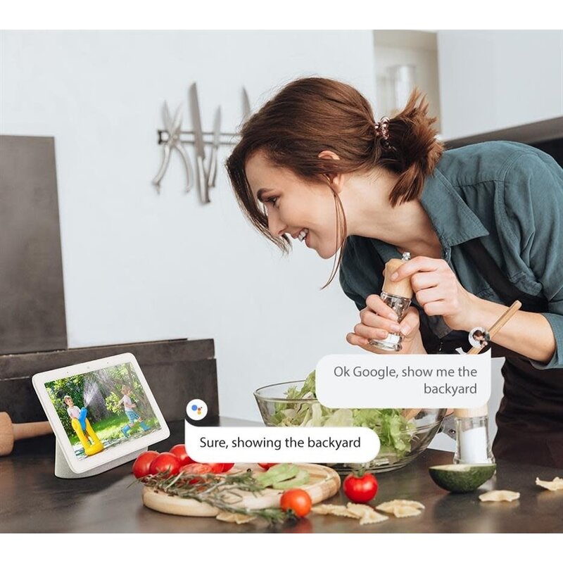 Argus PT 5MP Dual Band 4MP Outdoor Battery-powered WiFi Camera