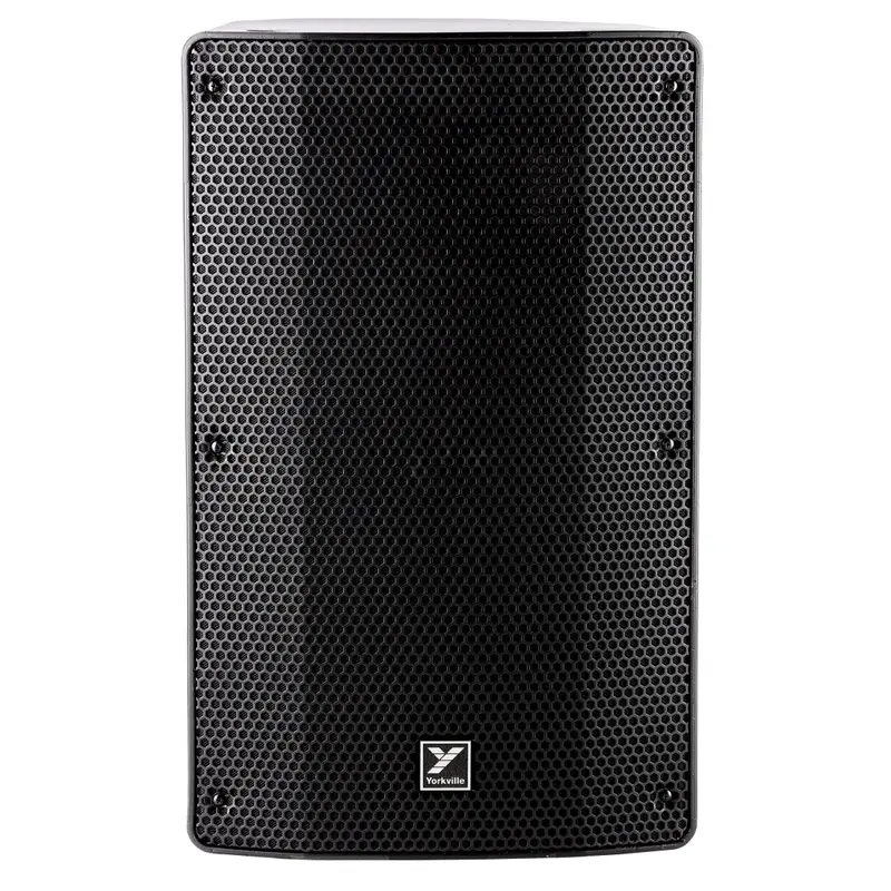 12 Inch Passive 600 Watt Loudspeaker