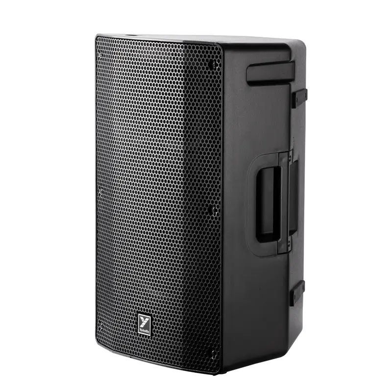 12 Inch Passive 600 Watt Loudspeaker