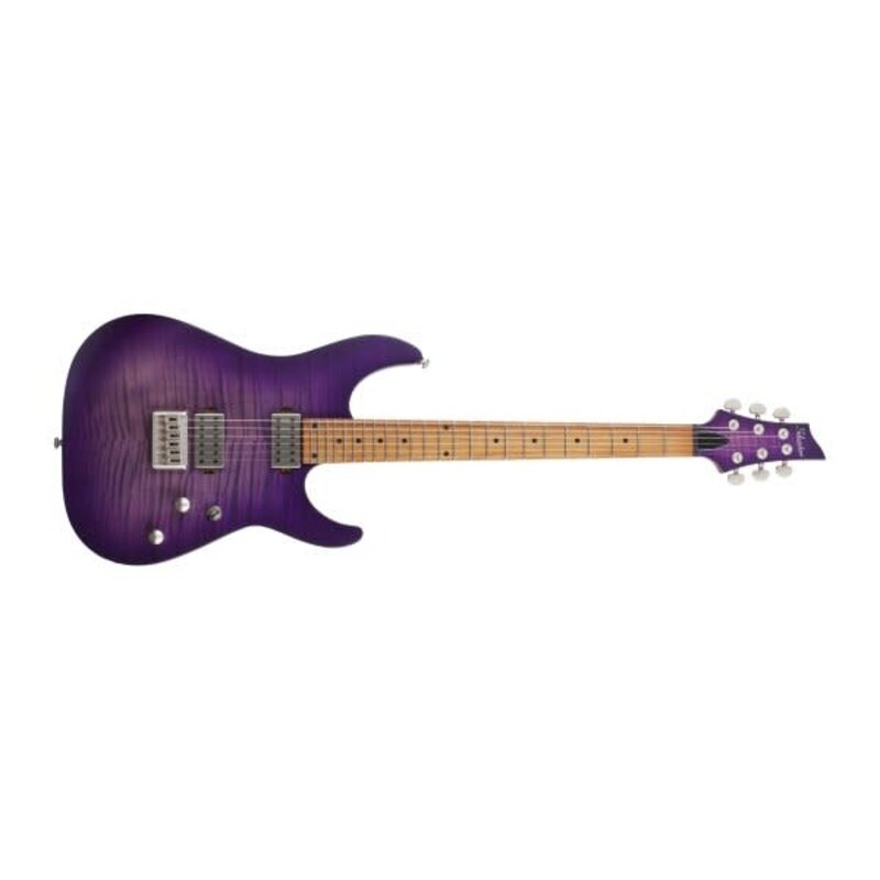 C-1 Standard Plus Electric Guitar, Transparent Purple Burst