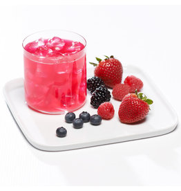 Nutri-15 Boite (1 x 7) BOISSON FRUITS SAUVAGE