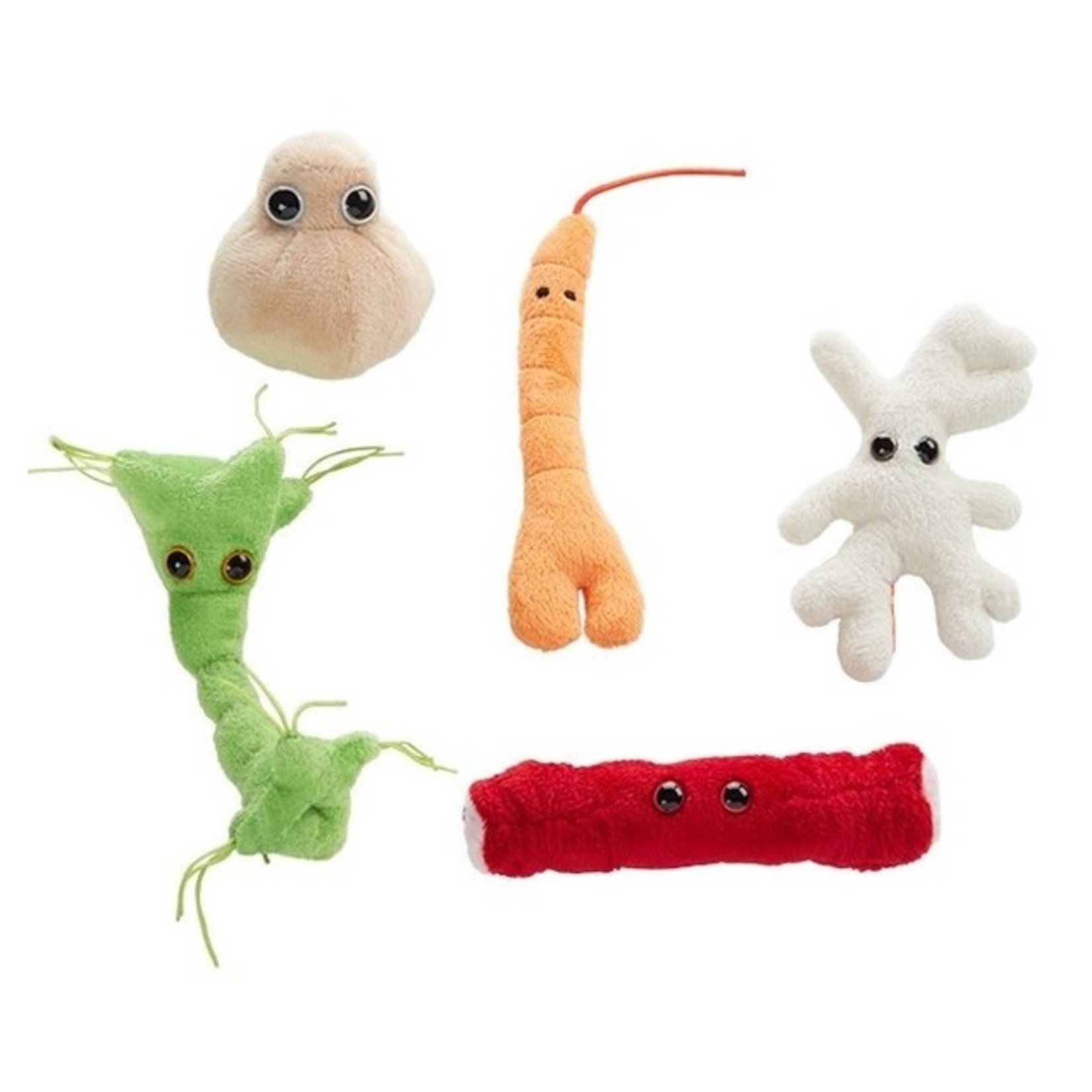 Science and Technology Cellule de corps en peluche