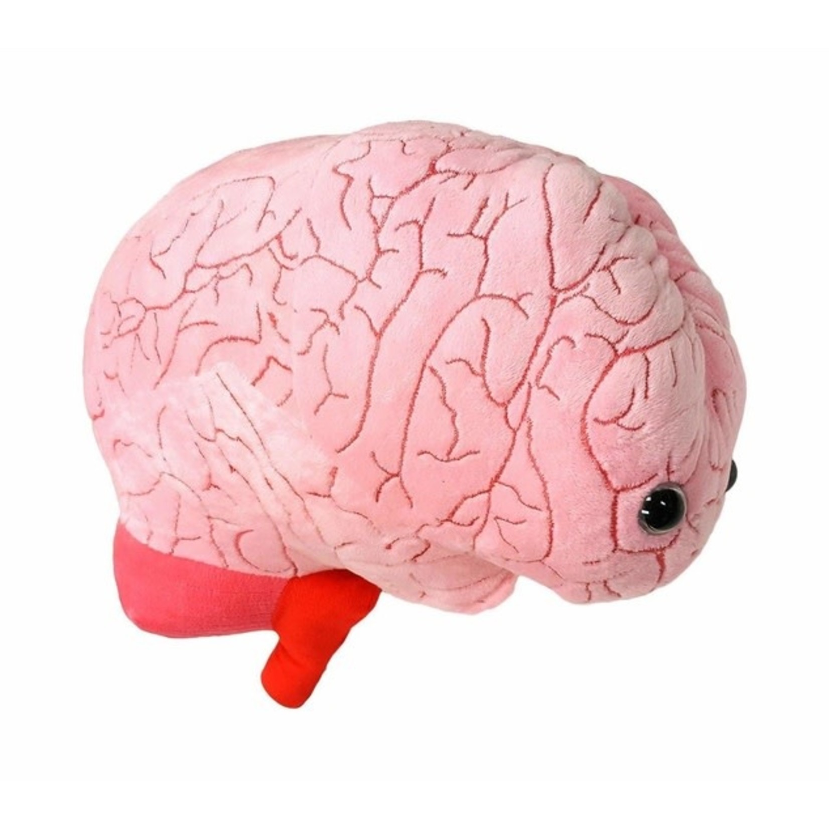 Science and Technology Plush Brain Organ