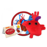 Science and Technology Plush Heart Organ