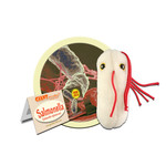 Science and Technology Peluche Salmonella