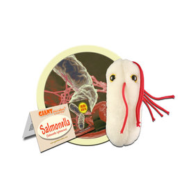 Plush Salmonella