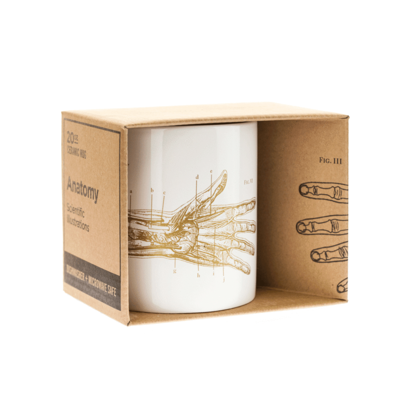 Science and Technology Mega Mug Anatomical Hand