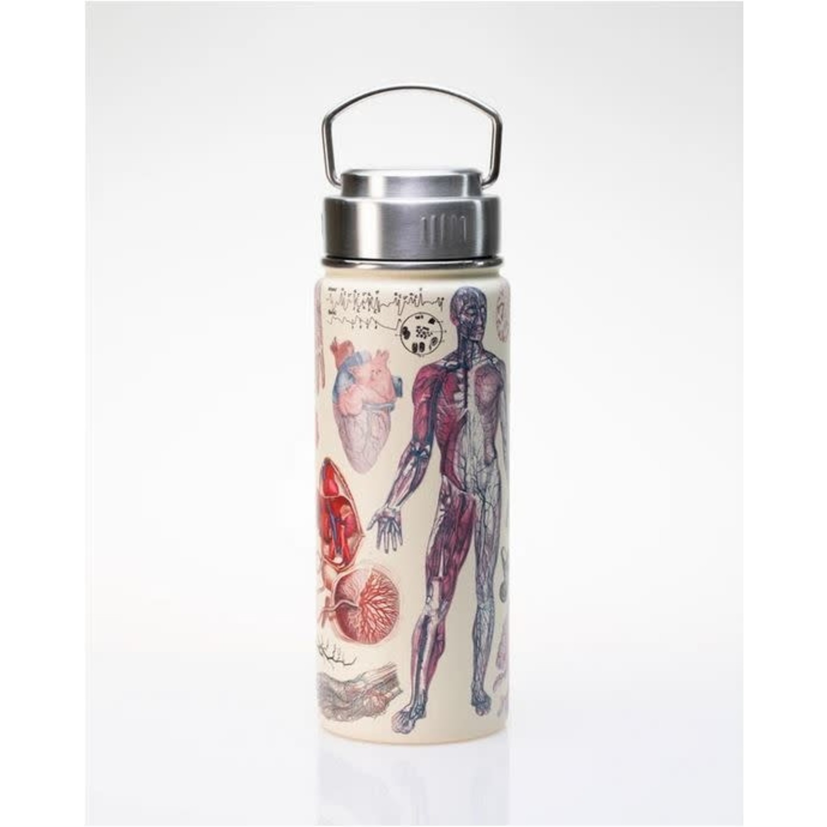 Science and Technology Human Anatomy Stainless Steel Vacuum Flask