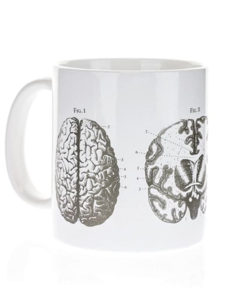 Mega Mug Brain Anatomy