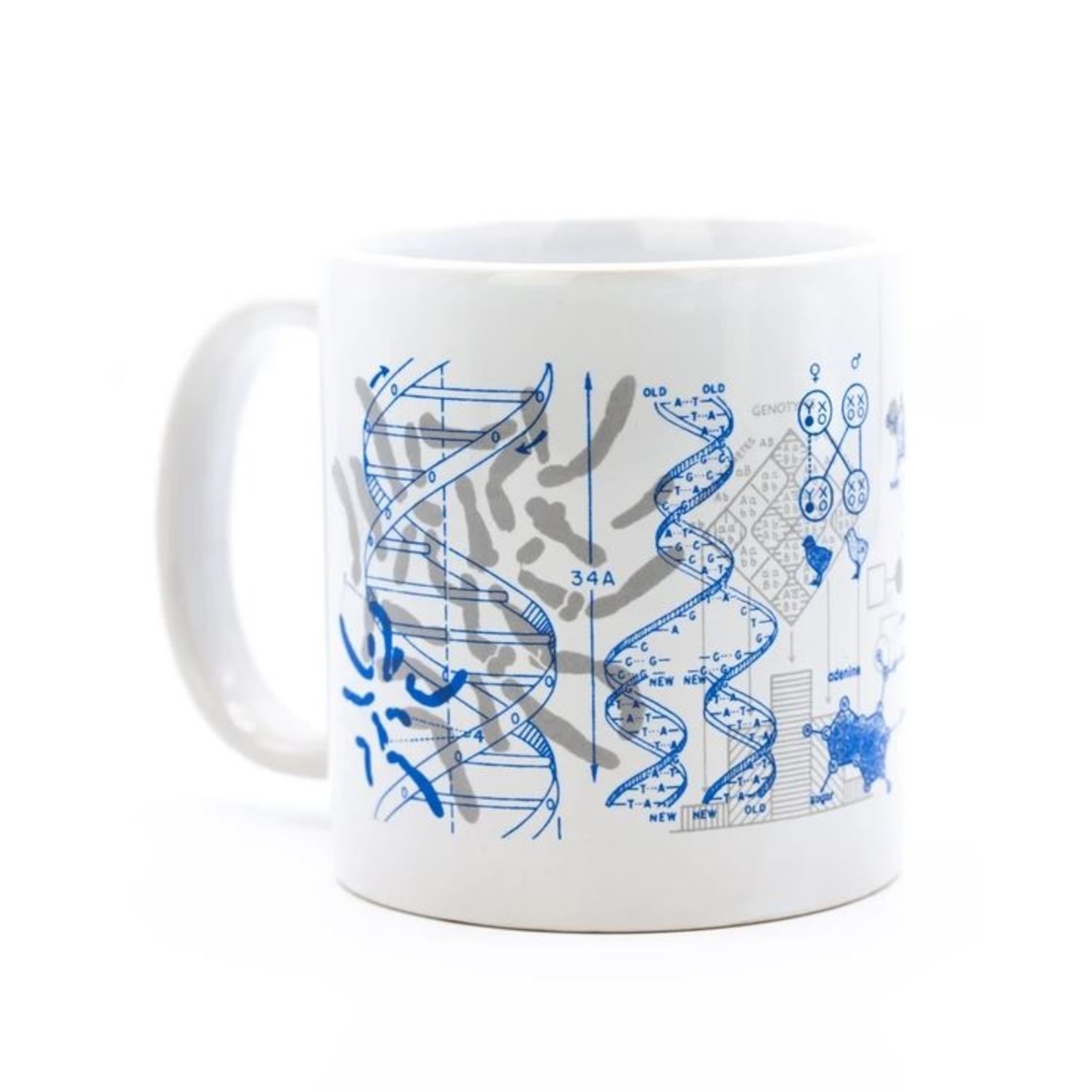 Science and Technology Mega Mug Genetics & DNA