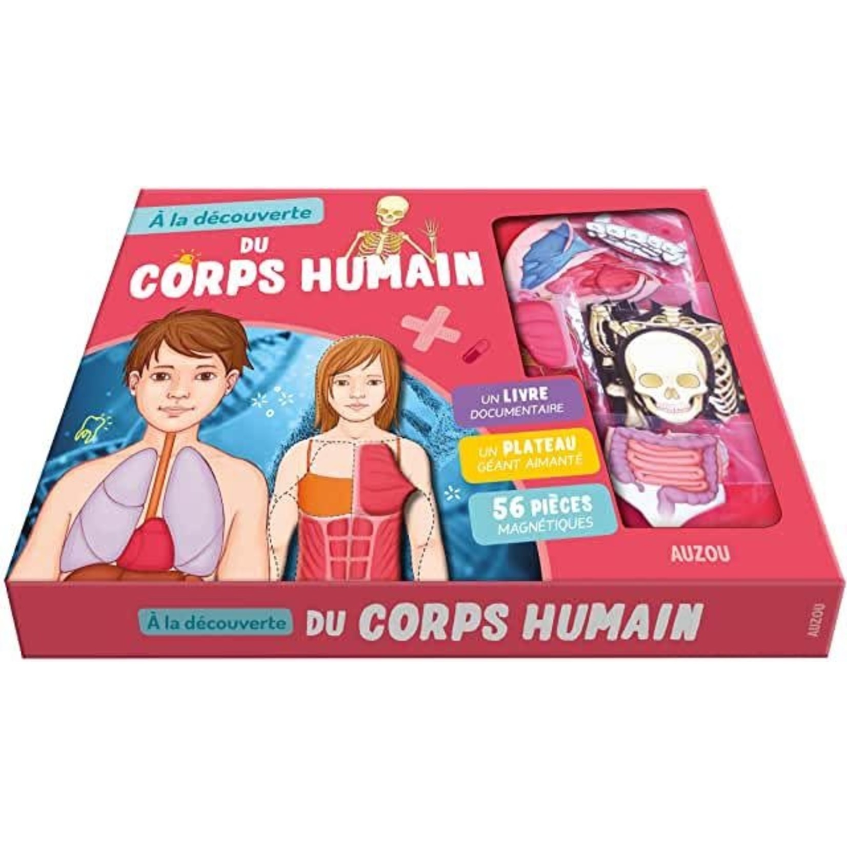 Science and Technology À la découverte du corps