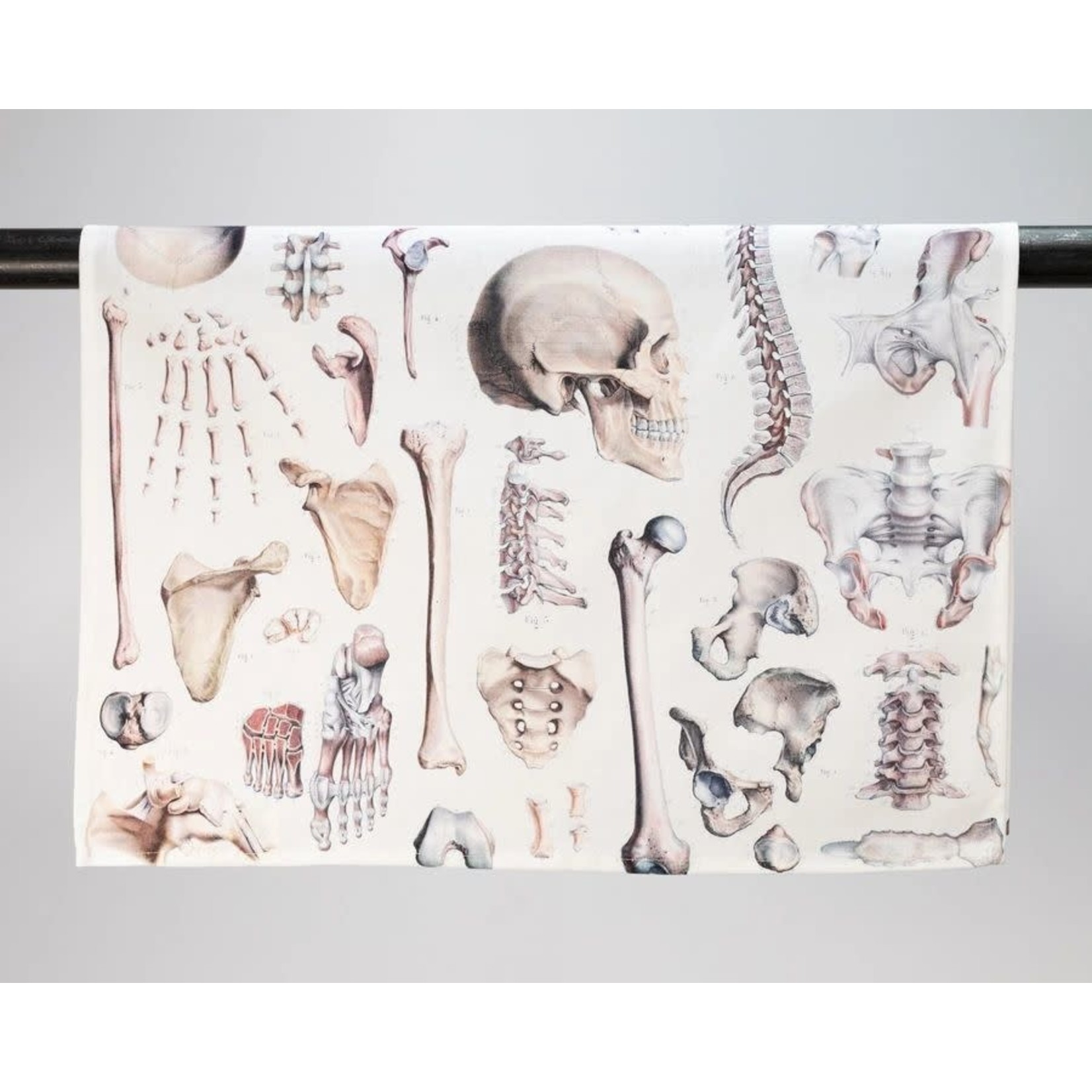 Science and Technology Skeleton Printed Tea Towel