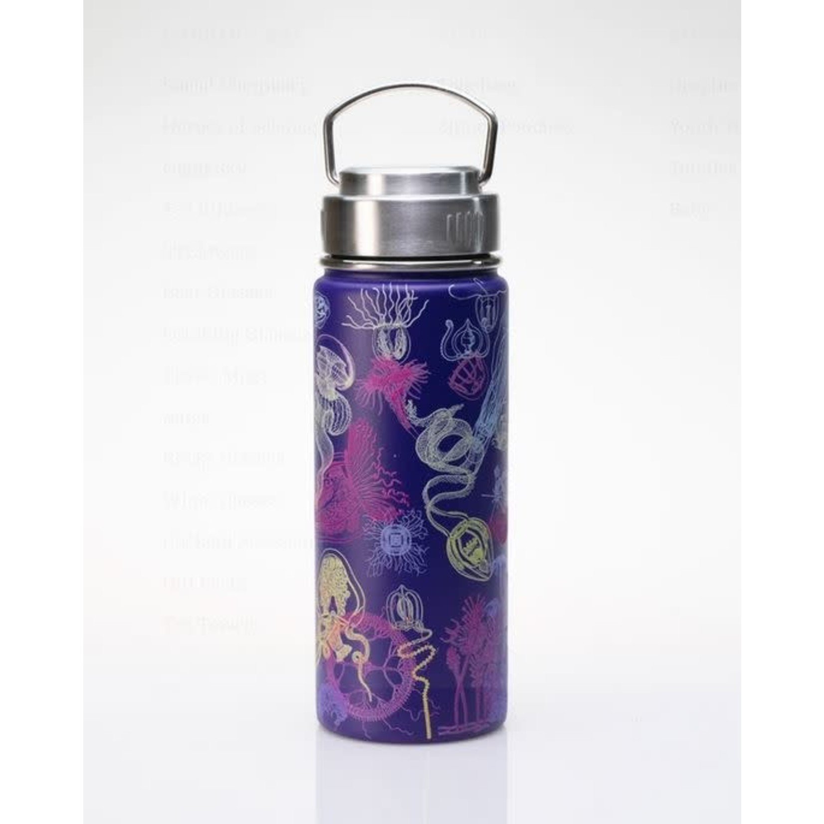 Science and Technology Vacuum Flask Jellyfish Stainless Steel