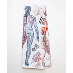 Science and Technology Tea Towel Human Anatomy Printed