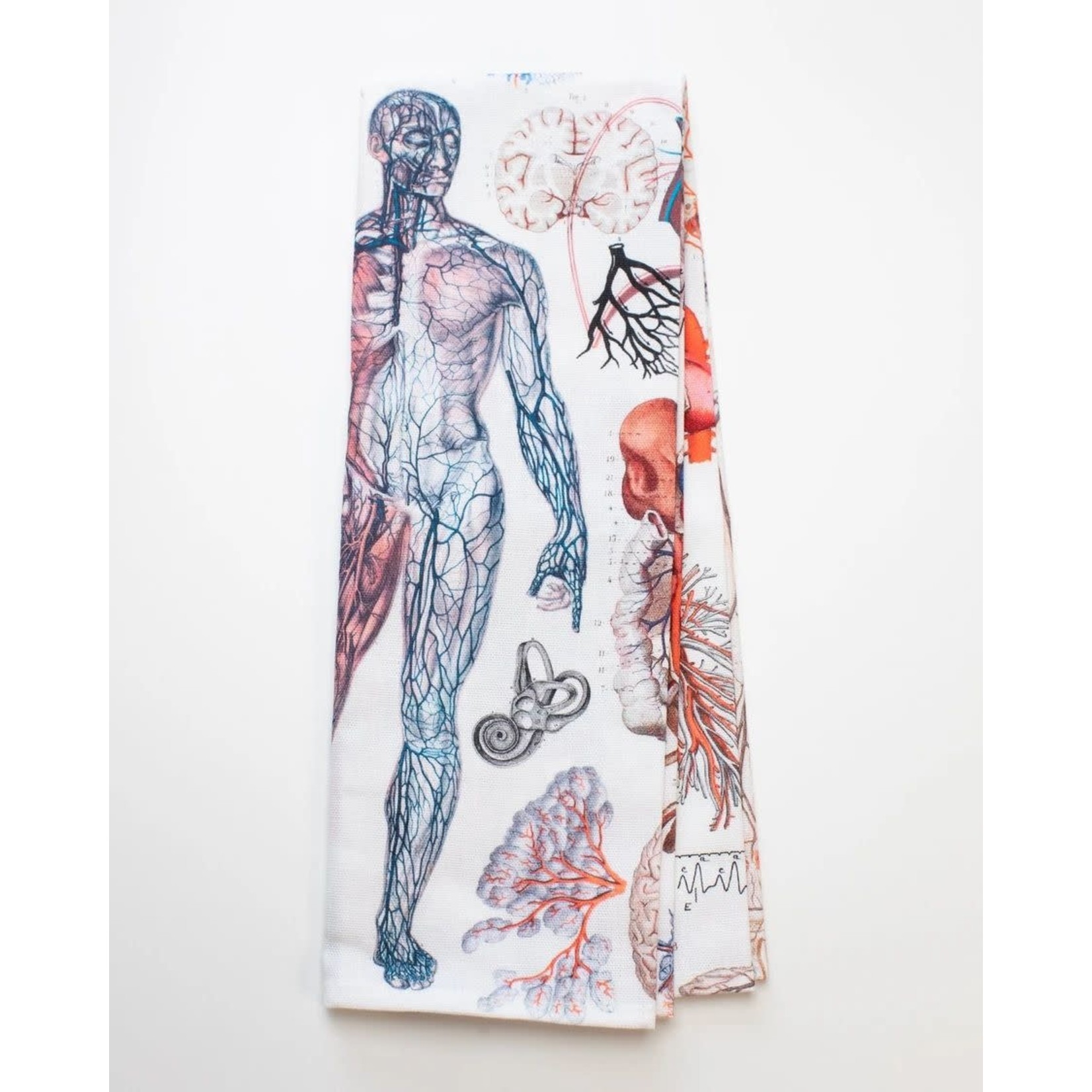 Science and Technology Tea Towel Human Anatomy Printed