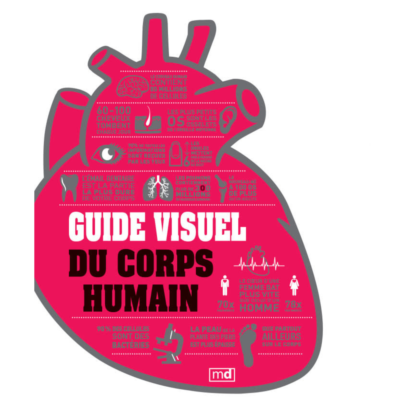 Science and Technology Guide visuel du corps humain