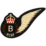 Aviation and Space Bomb Aimer Wing Crest