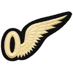 Aviation and Space Observe Wing Crest