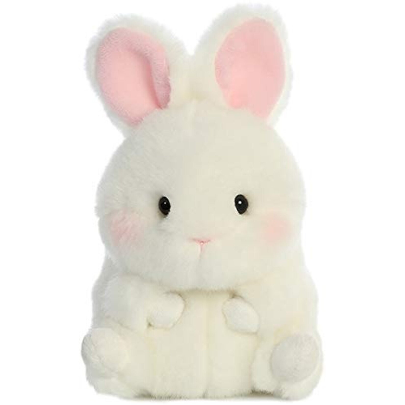 Agriculture and Food Rolly Pet Bunbun Bunny