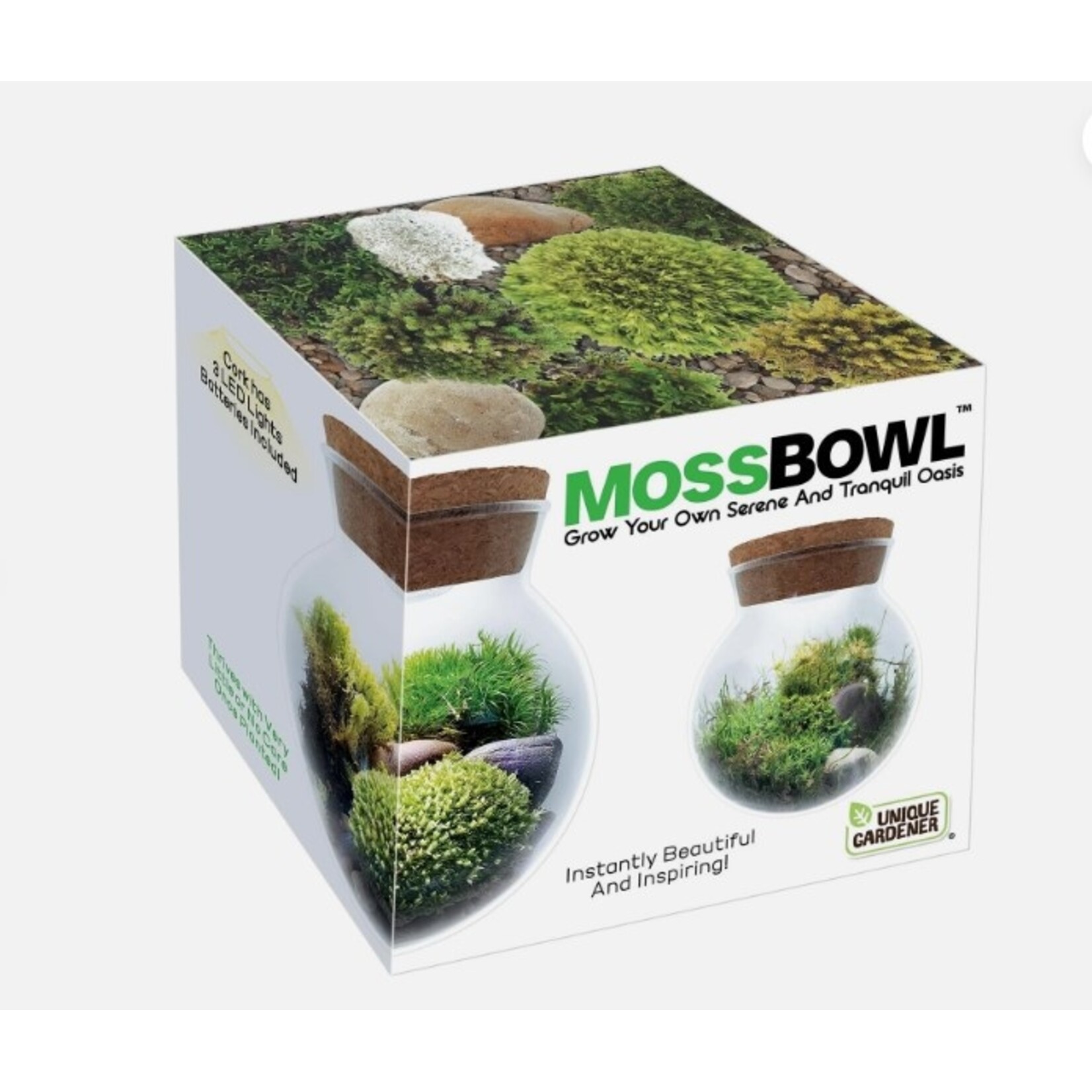 Agriculture and Food Moss Bowl